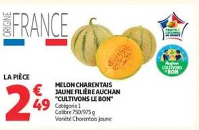 MELON CHARENTAIS JAUNE FILIERE AUCHAN "CULTIVONS LE BON"