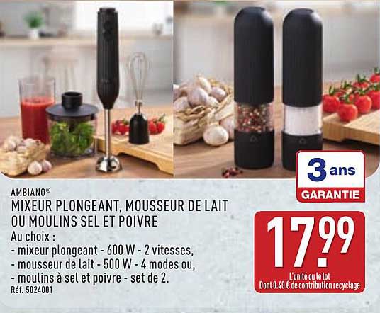 MIXEUR PLONGEANT, MOUSSEUR DE LAIT OU MOULINS SEL ET POIVRE