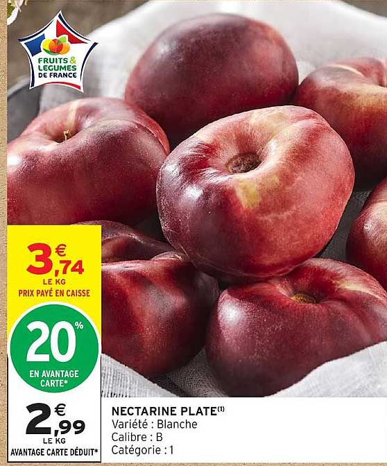 NECTARINE PLATE(1)