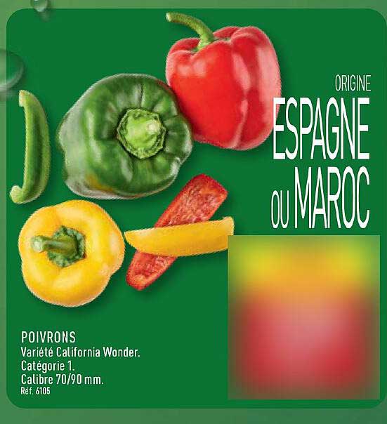 ORIGINE ESPAGNE OU MAROC