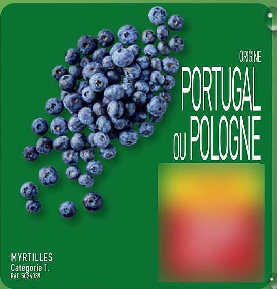 ORIGINE PORTUGAL OU POLOGNE