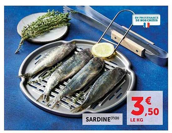 SARDINE(7)(D)