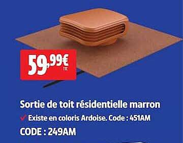 Sortie de toit résidentielle marron
