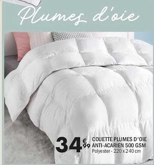 Couette plumes d'oie anti-acarien 500 gsm