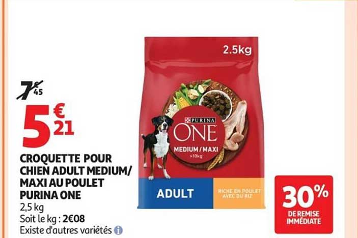 CROQUETTE POUR CHIEN ADULT MEDIUM/MAXI AU POULET PURINA ONE