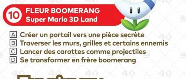 FLEUR BOOMERANG Super Mario 3D Land