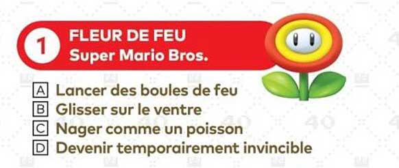 FLEUR DE FEU Super Mario Bros.