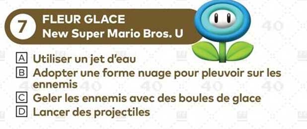 FLEUR GLACE New Super Mario Bros. U