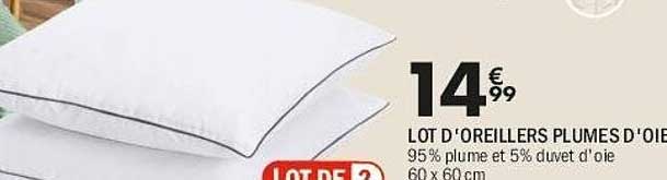 LOT D’OREILLERS PLUMES D’OIE