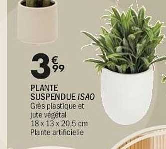 PLANTE SUSPENDUE /SAO