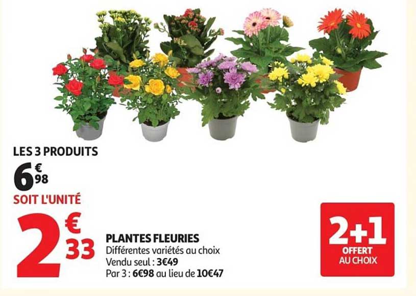 PLANTES FLEURIES
