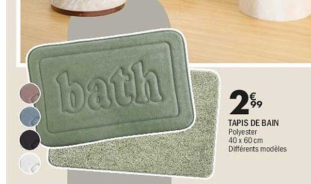 TAPIS DE BAIN Polyester 40 x 60 cm Différents modèles