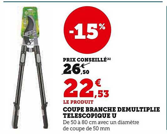 COUPE BRANCHE DEMULTIPLIÉ TÉLESCOPIQUE U