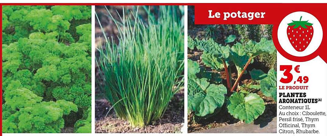 Le potager