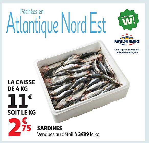 SARDINES