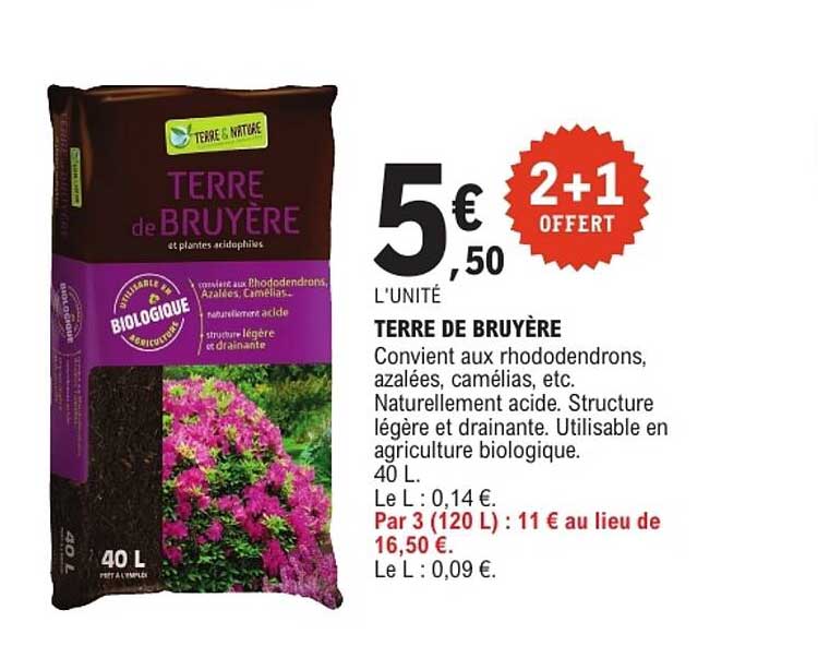 TERRE DE BRUYÈRE