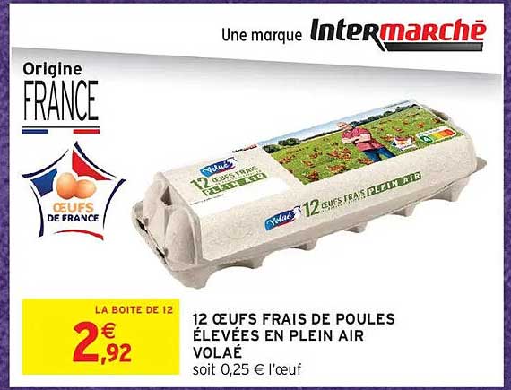 12 ŒUFS FRAIS DE POULES ÉLEVÉES EN PLEIN AIR VOLAÉ