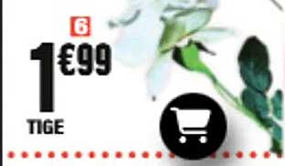 1€99 TIGE