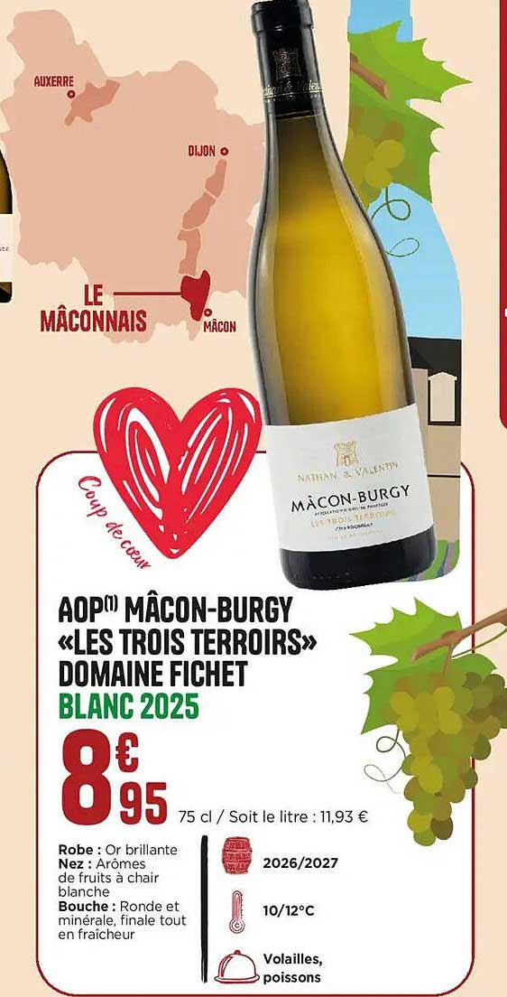 AOP MÂCON-BURGY «LES TROIS TERROIRS» DOMAINE FICHET BLANC 2025