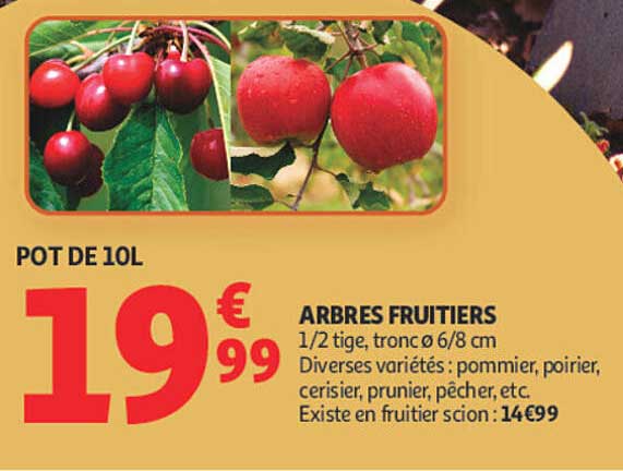 ARBRES FRUITIERS
