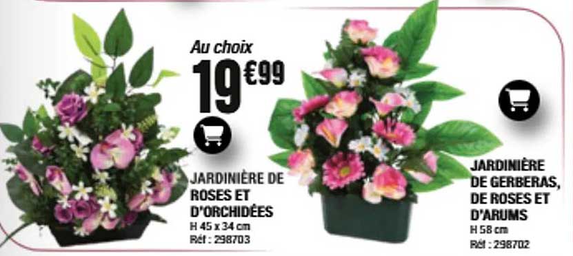 Au choix 19€99