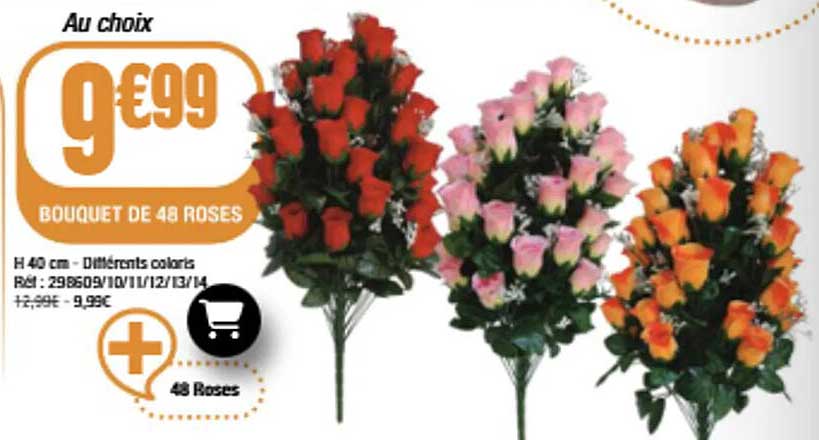 Au choix 9€99 BOUQUET DE 48 ROSES