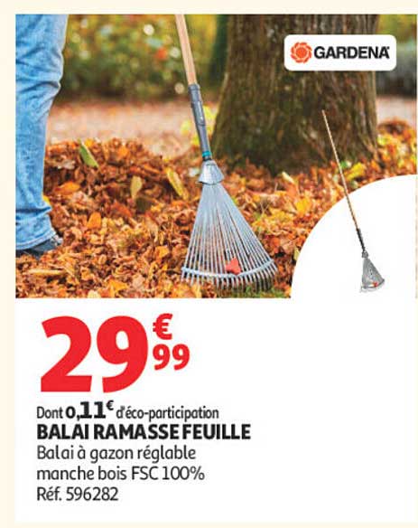 BALAI RAMASSE FEUILLE