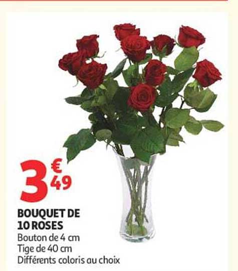 BOUQUET DE 10 ROSES