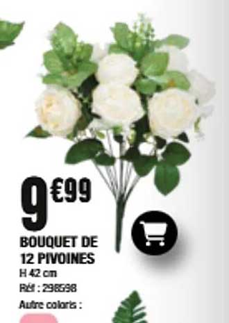 BOUQUET DE 12 PIVOINES