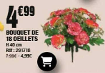BOUQUET DE 18 OEILLETS