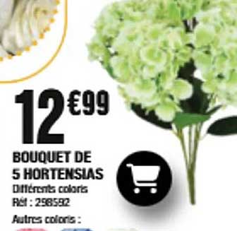 BOUQUET DE 5 HORTENSIAS