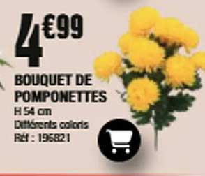 BOUQUET DE POMPONETTES