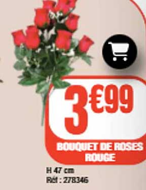 BOUQUET DE ROSES ROUGE
