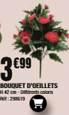 BOUQUET D’OEILLETS