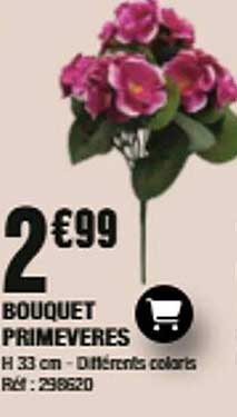 BOUQUET PRIMEVERES