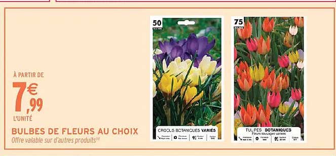 BULBES DE FLEURS AU CHOIX