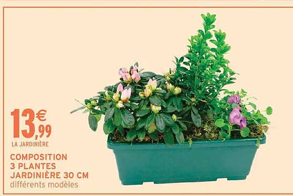 COMPOSITION 3 PLANTES JARDINIÈRE 30 CM différents modèles