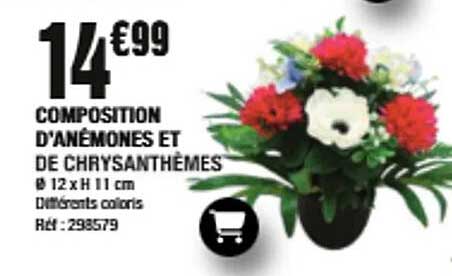 COMPOSITION D'ANEMONES ET DE CHRYSANTHEMES