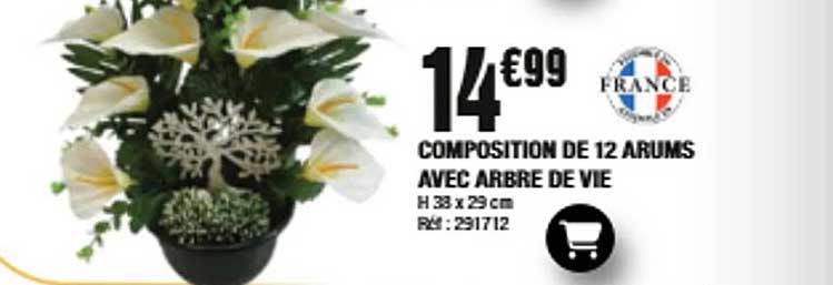 COMPOSITION DE 12 ARUMS AVEC ARBRE DE VIE