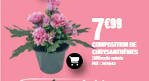 COMPOSITION DE CHRYSANTHEMES