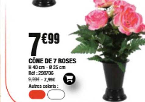 CÔNE DE 7 ROSES
