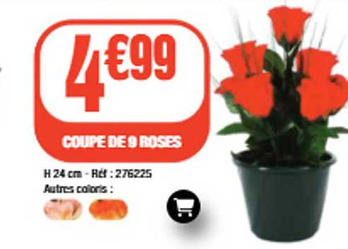 COUPE DE 9 ROSES