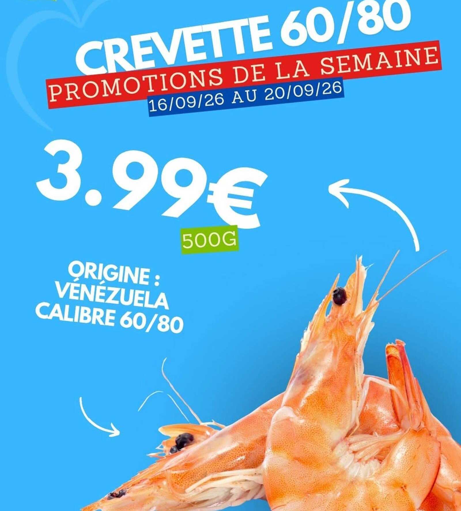 CREVETTE 60/80