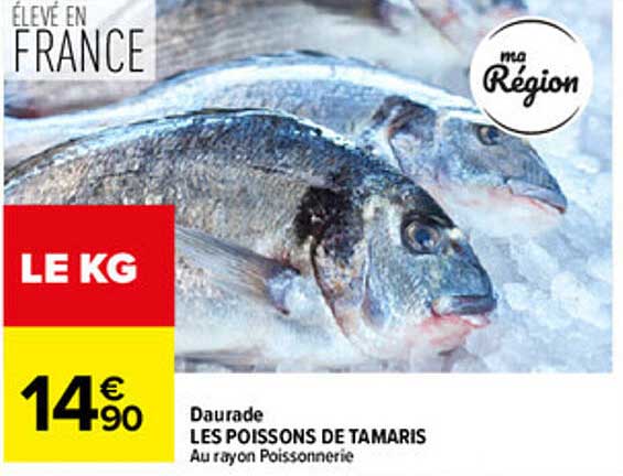 Daurade LES POISSONS DE TAMARIS Au rayon Poissonnerie