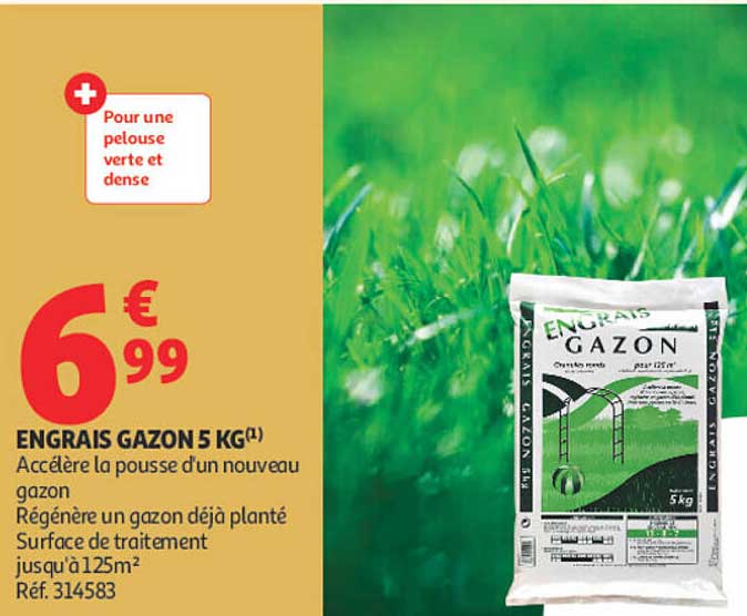 ENGRAIS GAZON 5 KG