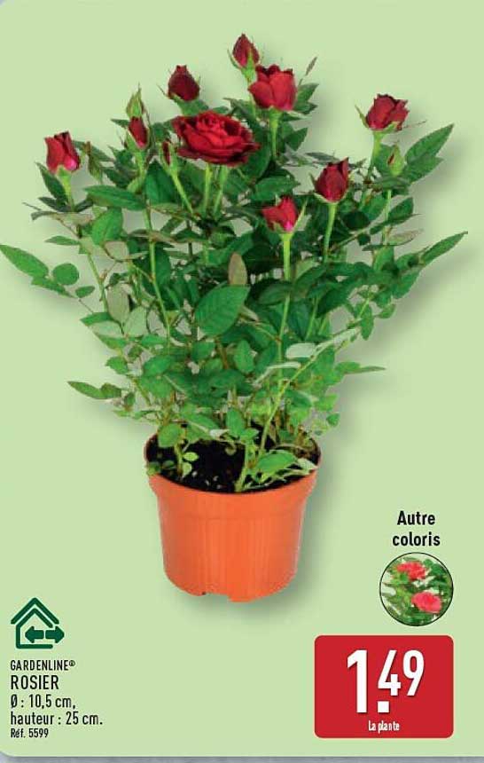 GARDENLINE® ROSIER