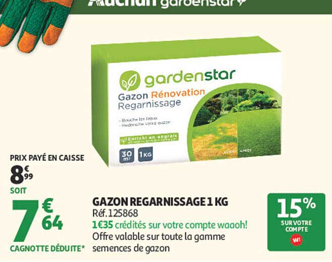 GAZON REGARNISSAGE 1 KG