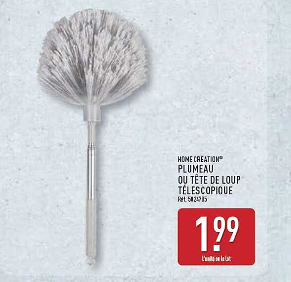 HOME CREATION® PLUMEAU OU TÊTE DE LOUP TÉLESCOPIQUE Réf. 5024705