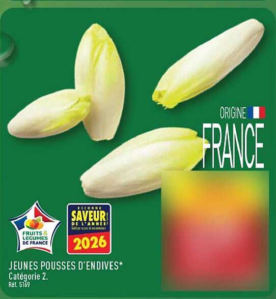 JEUNES POUSSES D'ENDIVES*