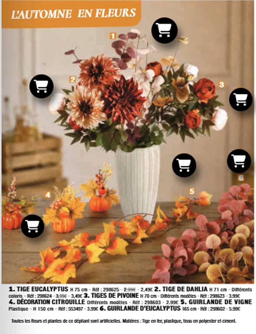 L'AUTOMNE EN FLEURS